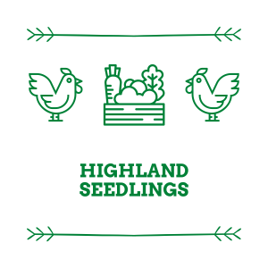 highland seedlings